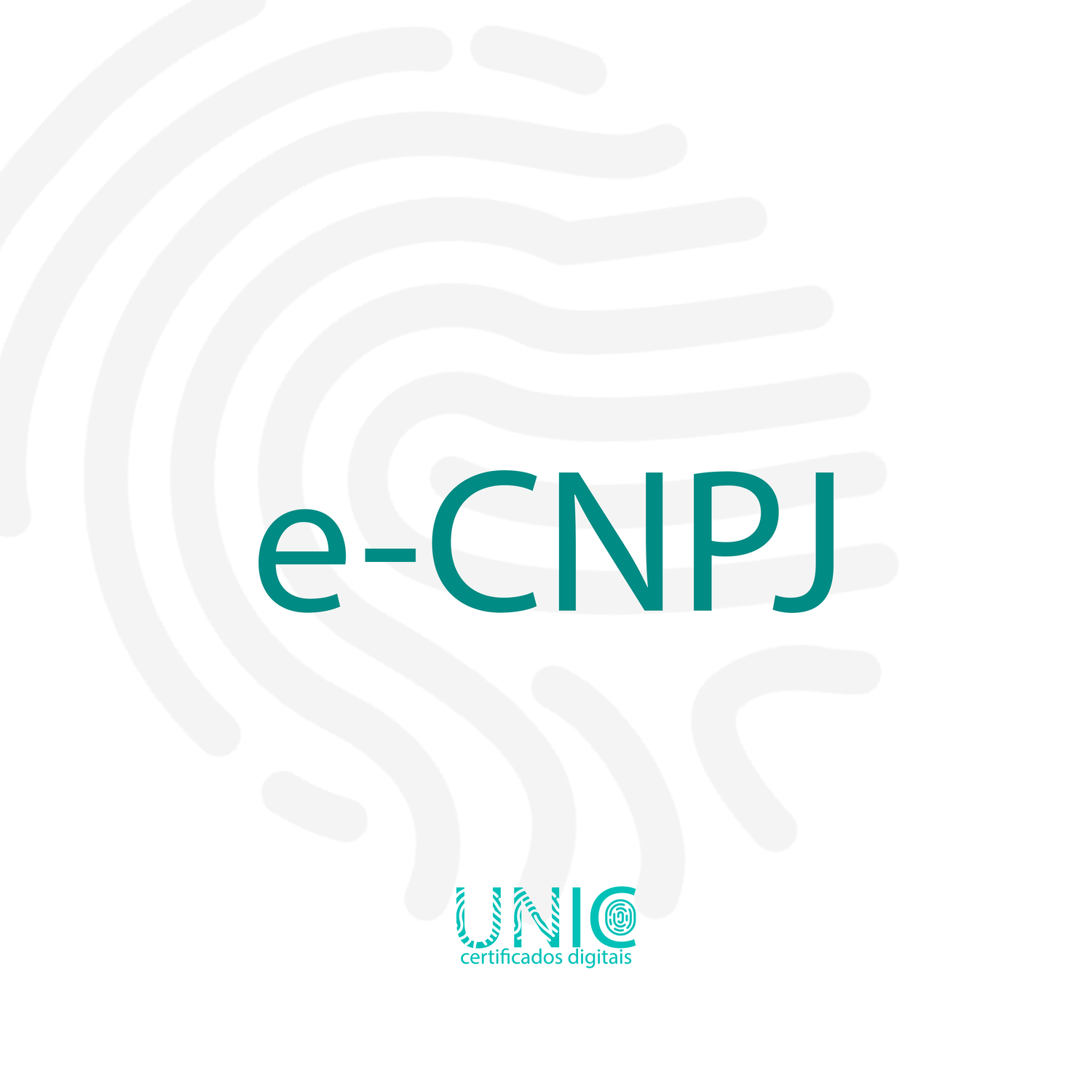 Certificados Digitais e-CNPJ